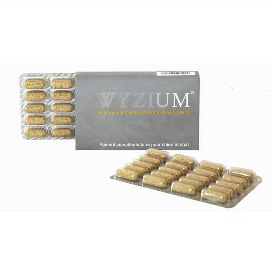 Wyzium 300 comprimés - Laboratoire Moureau