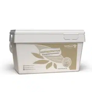 Phyto Master Harpagophytum Souplesse Articulaire Cheval 1 kg