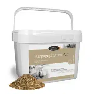 Phyto Master Harpagophytum Semoulette 5 kg