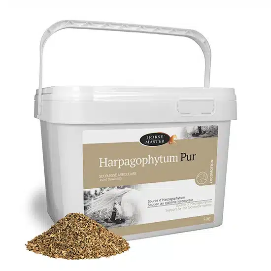 Phyto Master Harpagophytum Semoulette 5 kg