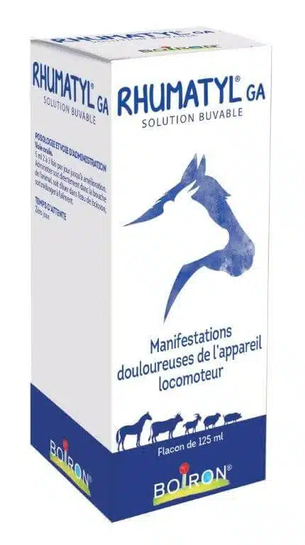 Rhumatyl GA 125 ml Solution Buvable
