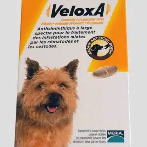 Veloxa Chien à Croquer 2 comprimés