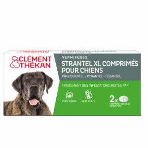 Clément Thékan Strantel XL Vermifuge Chien Boîte de 2 Comprimés