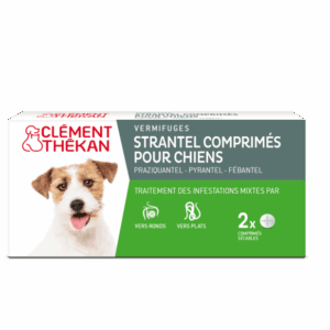 Clément Thékan Strantel Vermifuge Chien Boîte de 2 Comprimés