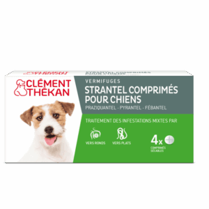 Clément Thékan Strantel Vermifuge Chien Boîte de 4 Comprimés