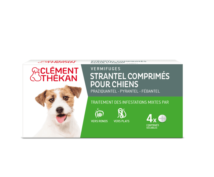 Clément Thékan Strantel Vermifuge Chien Boîte de 4 Comprimés