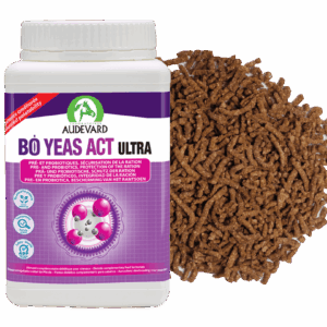 Bo Yeas Act Ultra Audevard équilibre digestif du cheval
