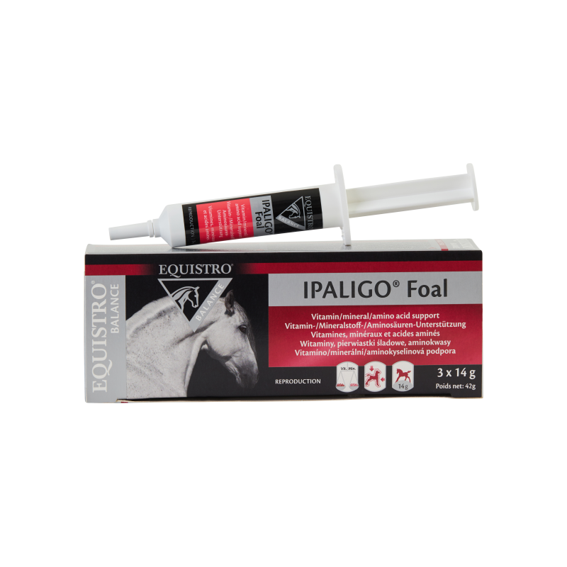 Ipaligo Foal Equistro boîte de 3 seringues poulain