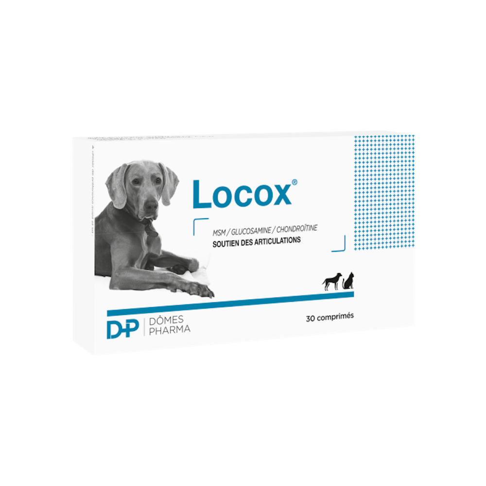 Locox 30 comprimés Dômes Pharma articulations chien et chat