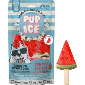 Pup Ice Fruity Lollies pastèque 3x90g – Chien