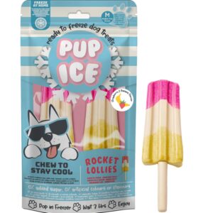 Pup Ice Rocket Lollies fraise banane 2x90g – Chien