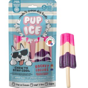 Pup Ice Rocket Lollies fraise myrtille 2x90g – Chien