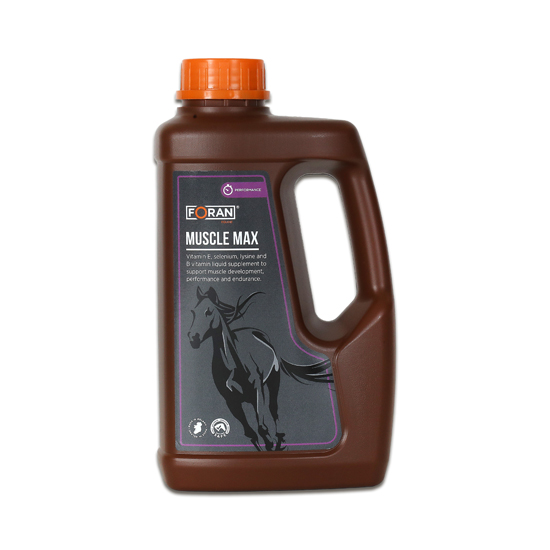 Bidon Foran Muscle Max, solution buvable à la lysine et à la vitamine E pour cheval