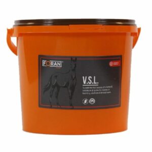 Seau Foran V.S.L. poudre, vitamine E, sélénium et lysine pour cheval