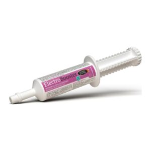 Electrobooster Horse Master – seringue orale d'électrolytes de 30 ml pour cheval