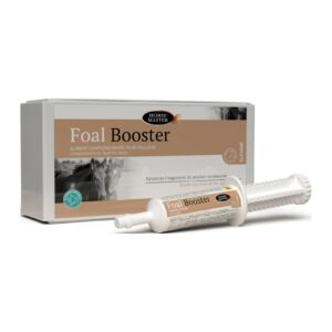 Foal Booster Horse Master – boîte de 4 seringues pour poulain nouveau-né