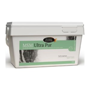 MSM Ultra Pur Horse Master – pot de 1 kg, méthylsulfonylméthane en poudre pour cheval