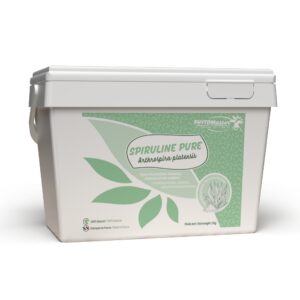 Seau de 2 kg de spiruline pure en poudre Phyto Master pour cheval